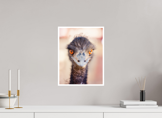 12 x 15.5″, Matte Hahnemühle Photo-Rag (.39" Border) Emu See You