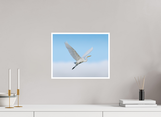 15.5 x 12″, Matte Hahnemühle Photo-Rag (.39" Border) Great Egret on Cloud 9