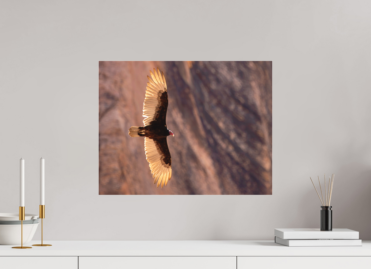 20.7 x 16″, Matte Acrylic Soarin'