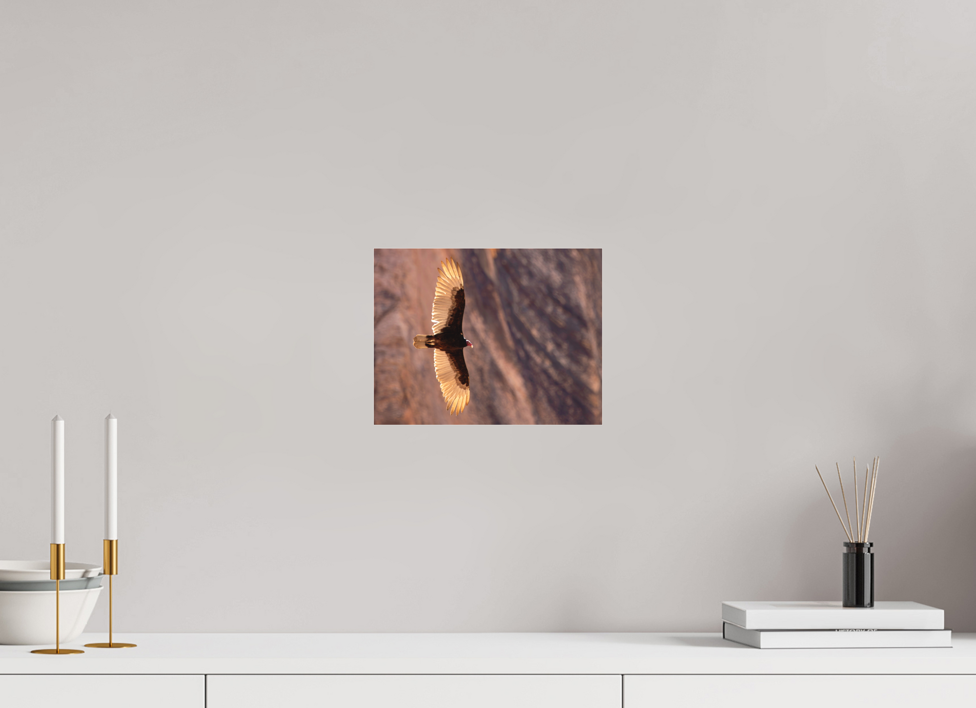 10.4 x 8″, Matte Acrylic Soarin'