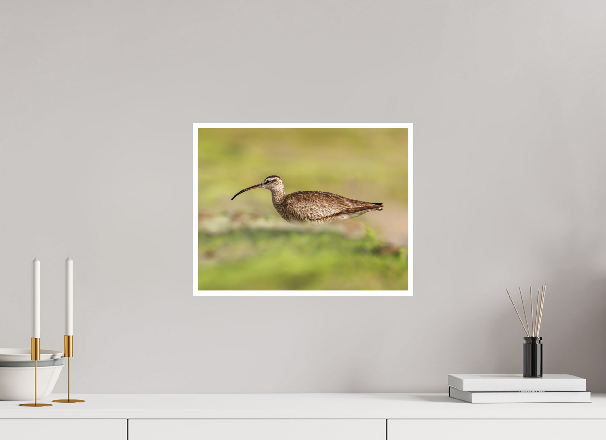 15.5 x 12″, Hahnemühle Bamboo Whimbrel on Beach