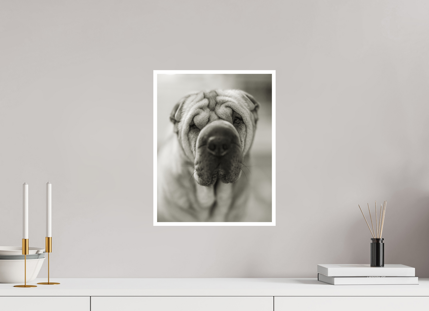 12 x 15.5″, Canson Baryta Prestige II (.39" Border) Shar Pei or Blurray?