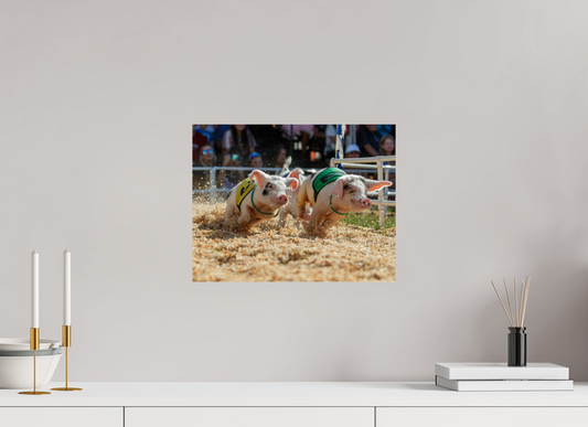 15.5 x 12″, Photo Print On Fuji Crystal DP II When Pigs Fly