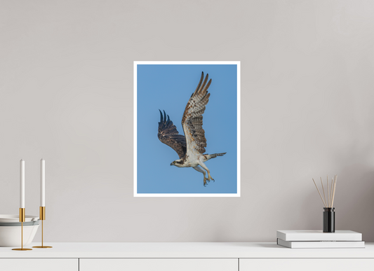 12 x 15.5″, German Etching Dual Catching Claws