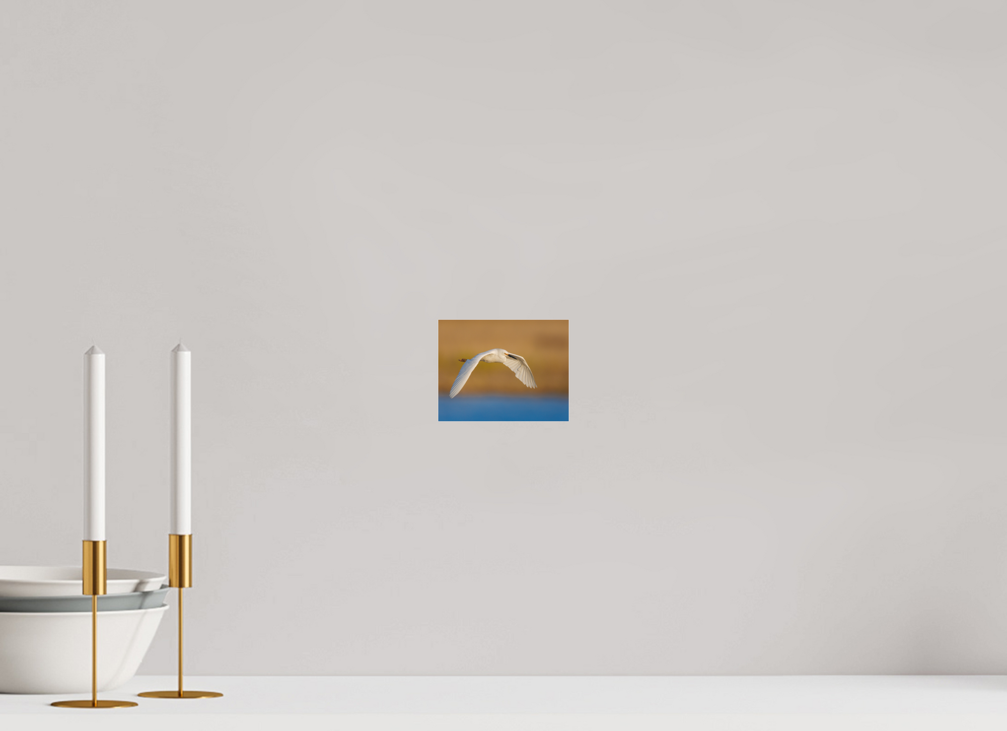 5.2 x 4″, Fuji Crystal Archive Under Matte Acrylic egret into sunset