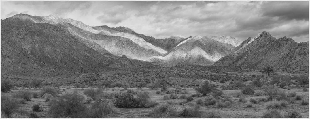 Main image rare rain at joshua tree
