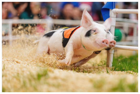 Main image Kickin' up Dust